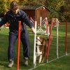 agility 2011-10-30
